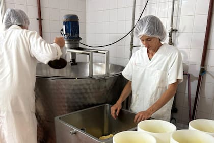 Pioneros argentinos crean un queso único premiado en el mundo 24 El matrimonio, además, cría vacas Jersey para elaborar quesos de vaca y oveja como el parmerino. También realizan el mimolette, un queso francés muy antiguo, conocido por su color naranja intenso y su sabor a avellanas
