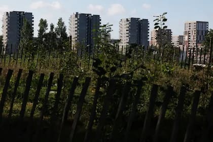 El mecanismo tiene un impacto relevante en zonas urbanas y degradadas