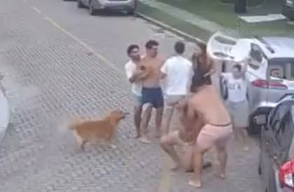 El medio brasileño Globo Esporte difundió la secuencia completa donde se observa el intercambio de golpes físicos