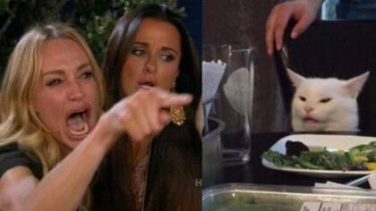 El meme del gato combina a Taylor Armstrong y Kylie Richards, del reality The Real Housewives of Beverly Hills, con una imagen del gato Smudge_Lord