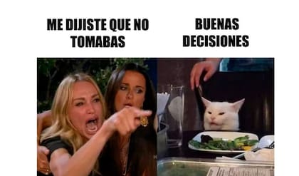  El meme, que explotó en 2019, es una composición de dos imágenes: una escena de la serie The Real Housewives of Beverly Hills y un posteo de Instagram de la cuenta “Smudge Table Cat”, donde se registran las pocas ganas del gato de comer verduras