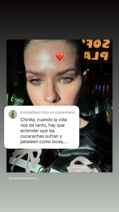 El mensaje de apoyo que La China recibió de Graciela Alfano y lo compartió en sus historias (Foto: Captura Instagram @sangrejaponesa)