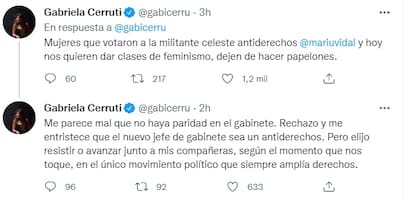 El mensaje de Cerruti con críticas a Manzur.