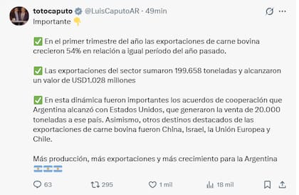 El mensaje de Luis Caputo en la red X
