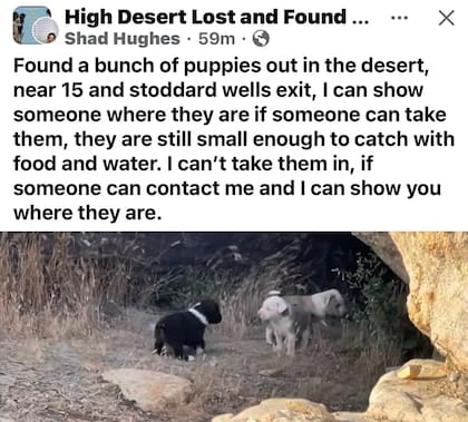 El mensaje de Shad Hughes que derivó en un rescate de nueve horas en el desierto de California