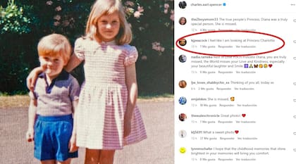 El mensaje de una seguidora de Charles sobre la foto (Foto: Captura Instagram/@charles.earl.spencer)