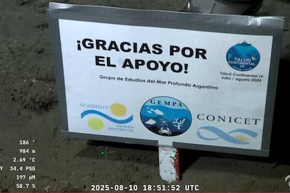 El provocador mensaje de un funcionario de Milei contra la misión del Conicet: “Próximamente plataforma petrolera”