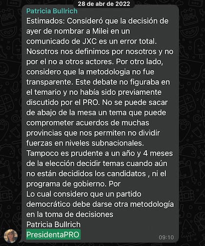 El mensaje que difundió Bullrich para respaldar su versión