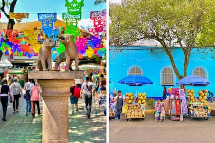El mercado de artesanías, la animada plaza central, las cantinas antiguas y los modernos bares con sus intervenciones urbanas son motivo de sobra para explorar esta colonia llena de arte y color que aún conserva cierto aire de pueblo.