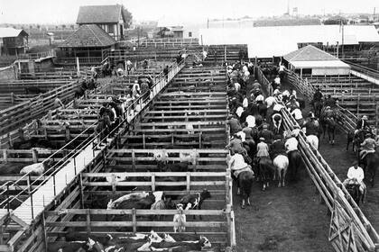 El Mercado de Hacienda, el 20 de septiembre de 1930.