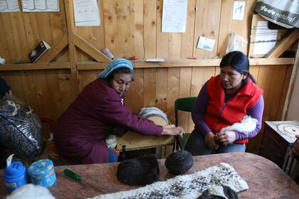 El Mercado de la Estepa Quimey Piuké es una organización sin fines de lucro de artesanos y pequeños productores rurales