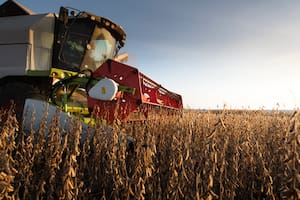 Importante suba de la soja en Chicago, que está en el valor más alto en dos meses