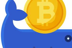 El mercado está pasando por un llamado "criptoinvierno", es decir, un período prolongado de bajos precios de las divisas digitales