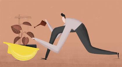 El mercado se reactivó los últimos meses