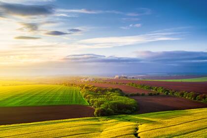 El Mercosur excluyó algunos productos sensibles del acuerdo