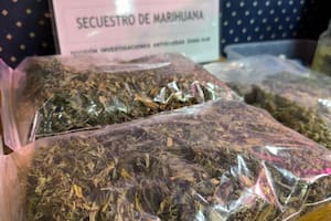 Preocupante aumento del consumo de drogas entre estudiantes de nivel medio