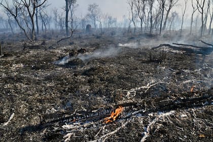 El mes pasado, un incendio forestal consumió parte del Parque Nacional de Brasilia, en Brasil