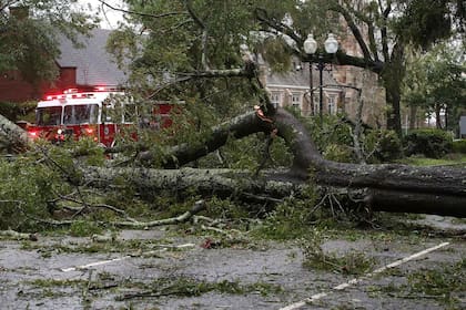 El meteoro derribó árboles, dañó edificios y carreteras y casi un millón de personas se quedaron sin electricidad