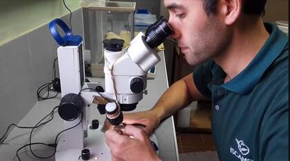 El método aún está en etapa experimental