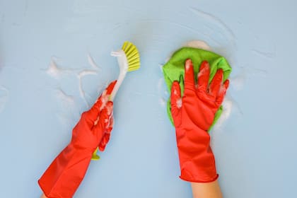 El método casero usado en Alemania promete erradicar la humedad sin productos químicos que dañan la superficie (imagen ilustrativa)