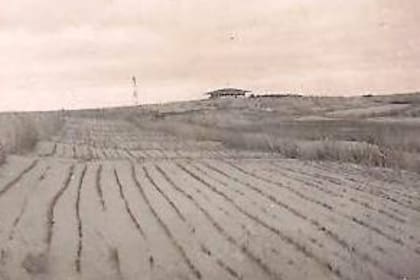 El método de fijación de los médanos y de forestación de Villa Gesell le llevó a Carlos Gesell unos 10 años de trabajo