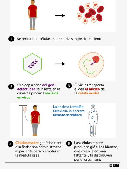 El método de la modificación de las células