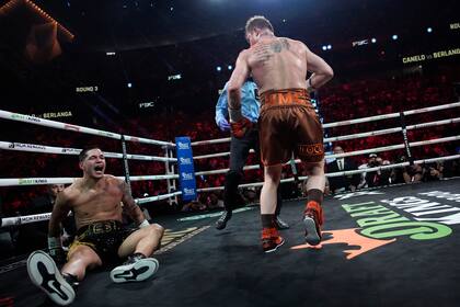 El mexicano Saúl "Canelo" Álvarez derriba al boricua Édgar Berlanga, en una pelea por el título de los supermedianos, el sábado 14 de septiembre de 2024 en Las Vegas (AP Foto/John Locher)