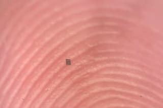 Más pequeño que un grano de sal: crean el robot autónomo más pequeño del mundo