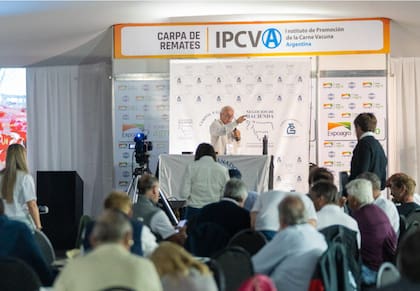 El miércoles 11, a las 11, será el turno del remate televisado conjunto entre Campos y Ganados y Negocios de Hacienda