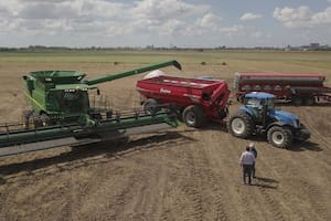 Encuesta: más de la mitad de los productores invertirán igual o más que en 2020