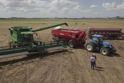 Las reformas no solo aumentarán la producción y la eficiencia, sino que también tendrán un impacto positivo en la economía rural