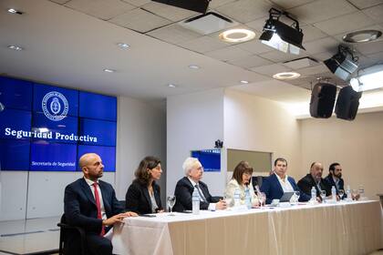 El Ministerio de Seguridad tendrá una unidad especial para la protección de inversiones productivas