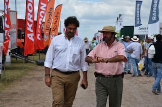 Buenos Aires se consolida como provincia maicera