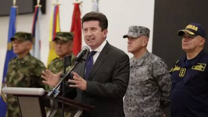 El ministro de Defensa, Diego Molano, aseguró que las fueras militares colombianas entregarán toda la información necesaria para esclarecer el caso