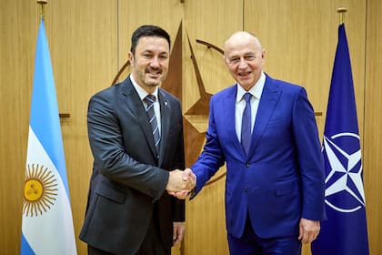 El ministro de Defensa, Luis Petri, con Mircea Geoana, secretario general adjunto de la OTAN, en abril de 2024