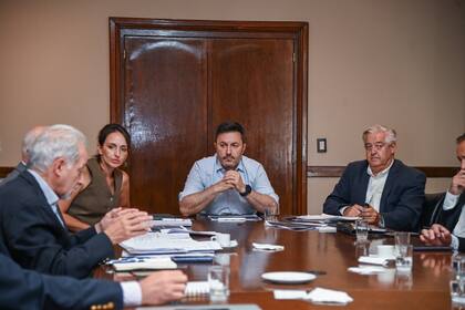 El ministro de Defensa, Luis Petri, con su gabinete