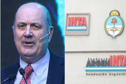 El ministro de Desregulación, Federico Sturzenegger, se refirió a la funcionalidad del INTA
