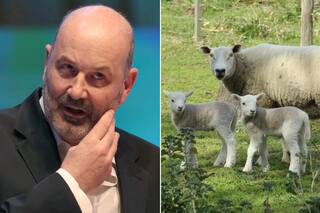 El Gobierno disolvió históricos regímenes ganaderos