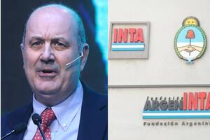 El ministro de Desregulación y Transformación del Estado, Federico Sturzenegger, se refirió a la funcionalidad del INTA