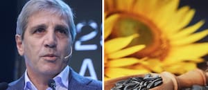 El agro ya exportó por US$17.095 millones y alcanzó un récord en volumen