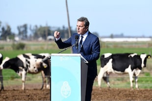 El ministro de Economía, Sergio Massa, durante los anuncios para los sectores avícola y tambero