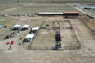 La solución de una provincia para las vacas que están en una situación compleja
