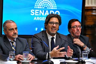 Código Penal: Garavano espera que se le pueda dar media sanción este año