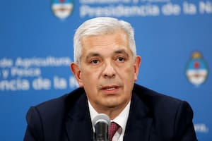 Luego de una frase de Alberto Fernández, el ministro Julián Domínguez negó una suba de las retenciones