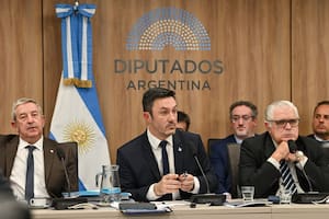 El ministro Petri, junto al presidente de la Comisión de Defensa de la Cámara de Diputados, Ricardo López Murphy