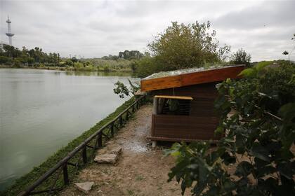 El mirador hacia el lago Lugano en el nuevo espacio verde; al fondo, la torre del ex Parque de la Ciudad