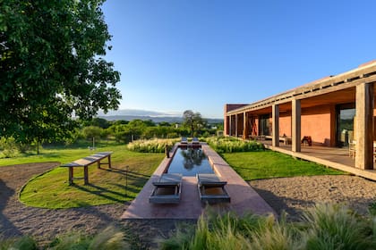 El mismo calcáreo (Mosaicos Obregón) de los pisos interiores reviste el solarium y la pileta