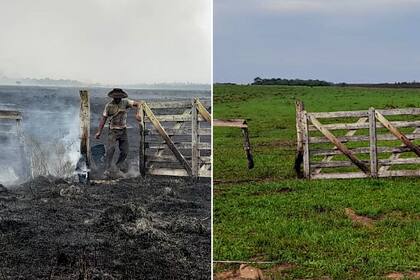 El mismo campo en Santo Tomé. A la izquierda, cuando se quemó; a la derecha, con el resurgir del verde tras las lluvias