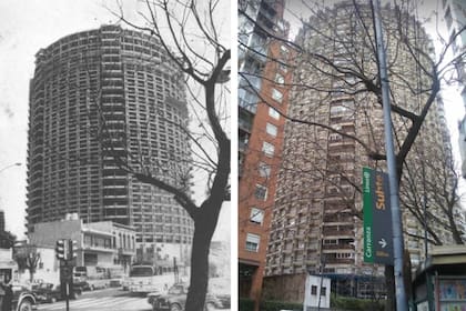 El mismo fresno, el mismo edificio: imagen de la construcción de la Torre Dorrego de 1969 (izquierda) y una postal actual de la obra (derecha)