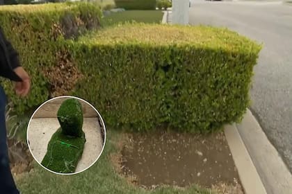 El mismo modus operandi se registró en diferentes ciudades de California